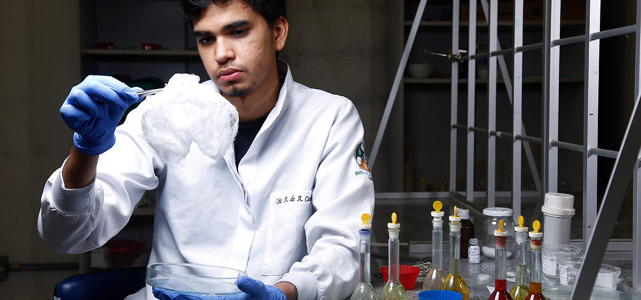 Fotografia de um jovem usando jaleco manipulando uma amostra de algodão. No seu entorno, há vidros e objetos de laboratório.