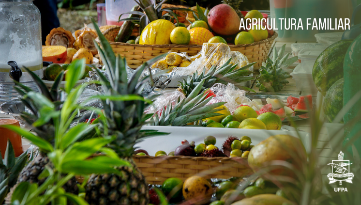 Fotografia de vários recipientes que estão repletos de frutas como: abacaxi, rambantam, goiaba, melão e manga.