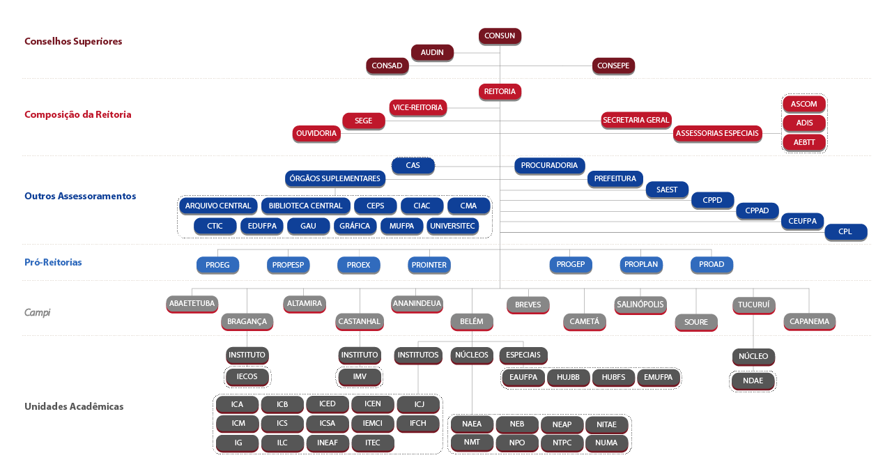 Organograma da UFPA nas cores vermelha, azul e cinza. No nível mais alto, estão os Conselhos Superiores: CONSUN, CONSAD, CONSEPE e AUDIN. No segundo nível, está a Composição da Reitoria: REITORIA, VICE-REITORIA, SEGE, SECRETARIA-GERAL, OUVIDORIA e ASSESSORIAS ESPECIAIS (ASCOM, ADIS e AEBTT). No terceiro nível, estão outros assessoramentos: CAS, PROCURADORIA, PREFEITURA, SAEST, CPPD, CPPAD, CEUFPA, CPL e ÓRGÃOS SUPLEMENTARES (ARQUIVO CENTRAL, BIBLIOTECA CENTRAL, CEPS, CIAC, CMA, CTIC, EDUFPA, GAU, GRÁFICA, MUFPA e UNIVERSITEC). No quarto nível, estão as Pró-Reitorias: PROEG, PROPESP, PROEX, PROINTER, PROGEP, PROPLAN e PROAD. No quinto nível, estão os Campi: ABAETETUBA, BRAGANÇA, ALTAMIRA, CASTANHAL, ANANINDEUA, BELÉM, BREVES, CAMETÁ, SALINÓPOLIS, SOURE, TUCURUÍ e CAPANEMA. No sexto e último nível, estão as Unidades Acadêmicas: Institutos (ICA, ICB, ICED, ICEN, ICJ, ICM, ICS, ICSA, IEMCI, IFCH, IG, ILC, INEAF, ITEC, IECOS e IMV), Núcleos (NAEA, NEB, NEAP, NITAE, NMT, NPO, NTPC, NUMA e NDAE) e Unidades Especiais (EAUFPA, HUJBB, HUBFS e EMUFPA).