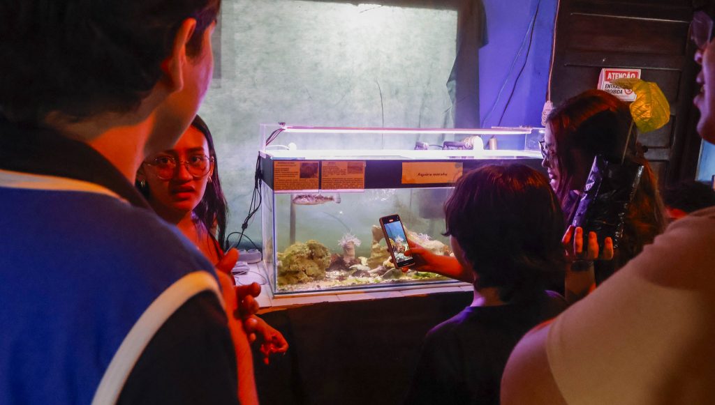 Fotografia de um grupo de pessoas dentro do Aquário da UFPA Uma das pessoas tem um celular na mão para fotografar um peixe que está dentro do aquário.
