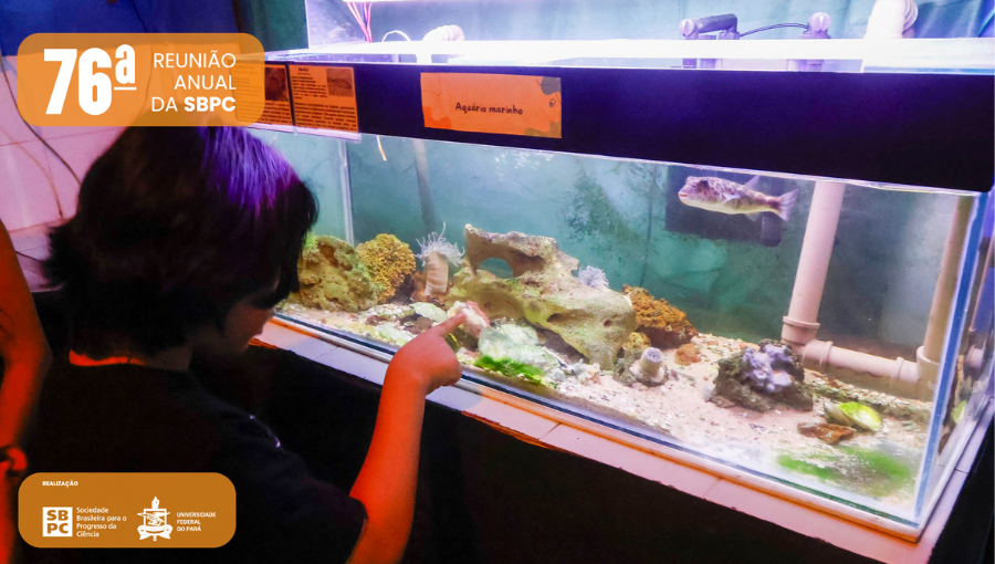 Fotografia de uma criança em frente a um aquário. A criança aponta para o aquário com o dedo indicador direito. Dentro do aquário há um peixe pequeno e diversos corais em variadas cores. Na parte superior da imagem, à esquerda, o logo da SBPC. Na parte inferior, à esquerda, o logo da SBPC e o brasão da UFPA.