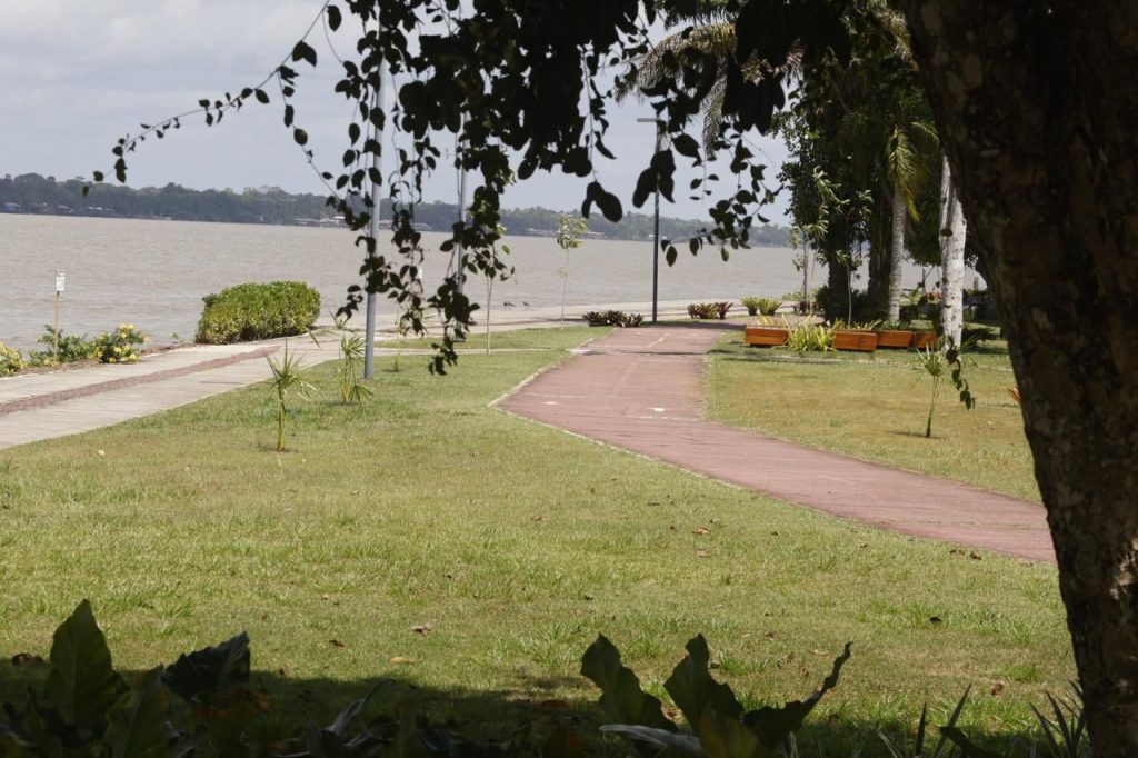Fotografia da orla do Campus Guamá. Ao fundo, a beira do rio.