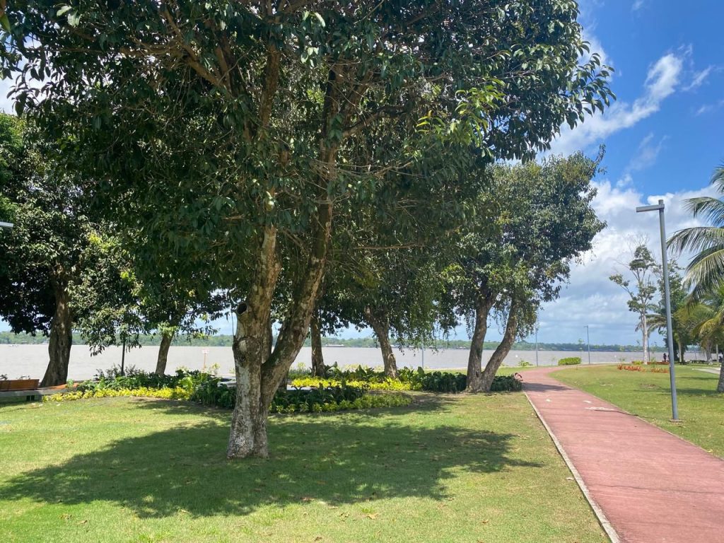 Fotografia da orla do Campus Guamá, com destaque para as árvores que margeiam a orla. 