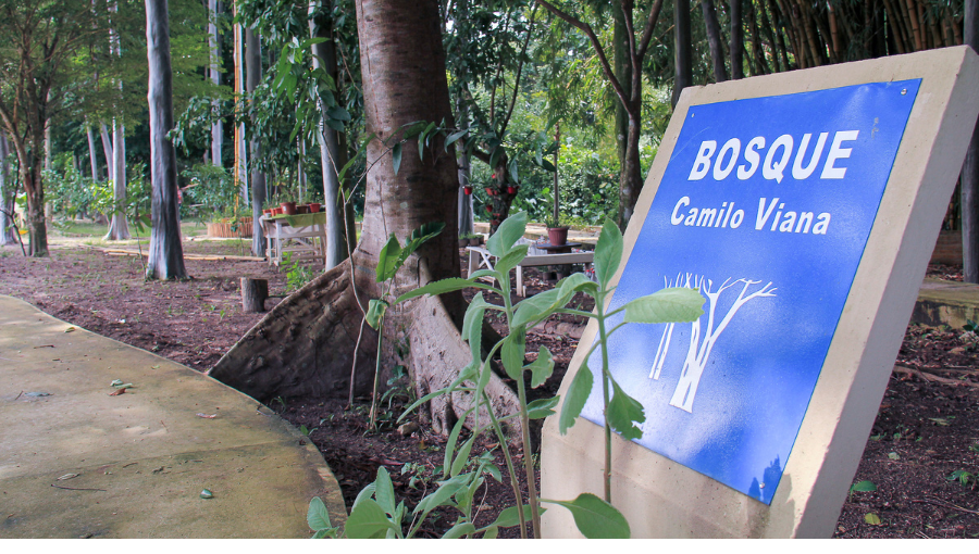 Fotografia de uma área com arvóres e calçada. Em destaque, uma placa na cor azul com a seguinte informação: Bosque Camilo Viana.