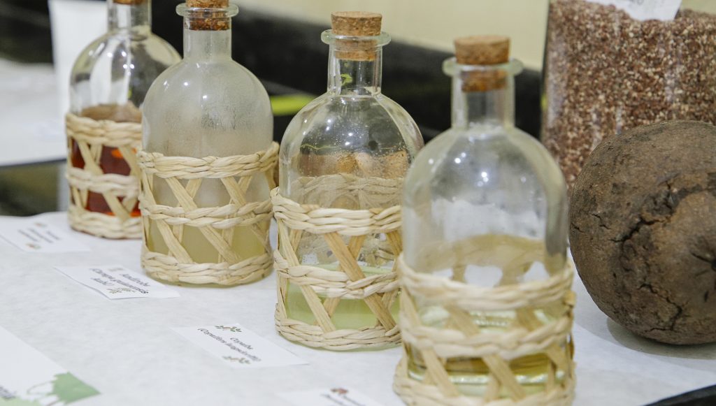 Fotografia registra quatro garrafas de vidro com líquidos em tons variados. Ao fundo, há um ouriço de castanha do Pará.