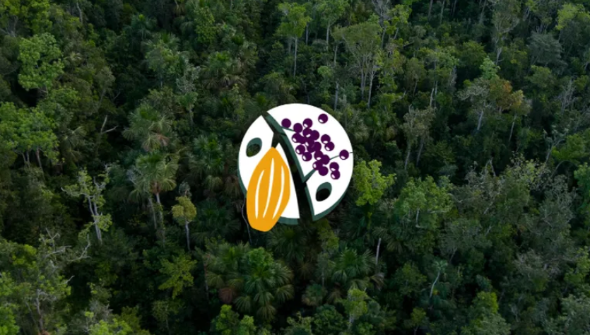 Card gráfico com um imagem de uma mata ao fundo, tendo como destaca, no centro uma logamarca que retrata um cacho de açaí ao lado de um cacau.