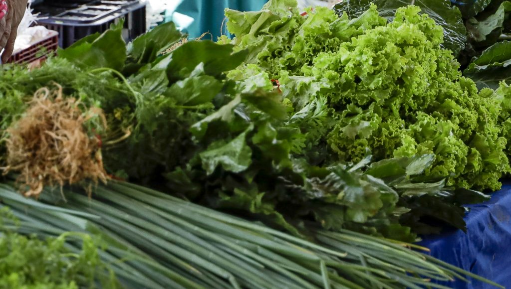 Fotografia registra diferentes tipos de verduras expostas.