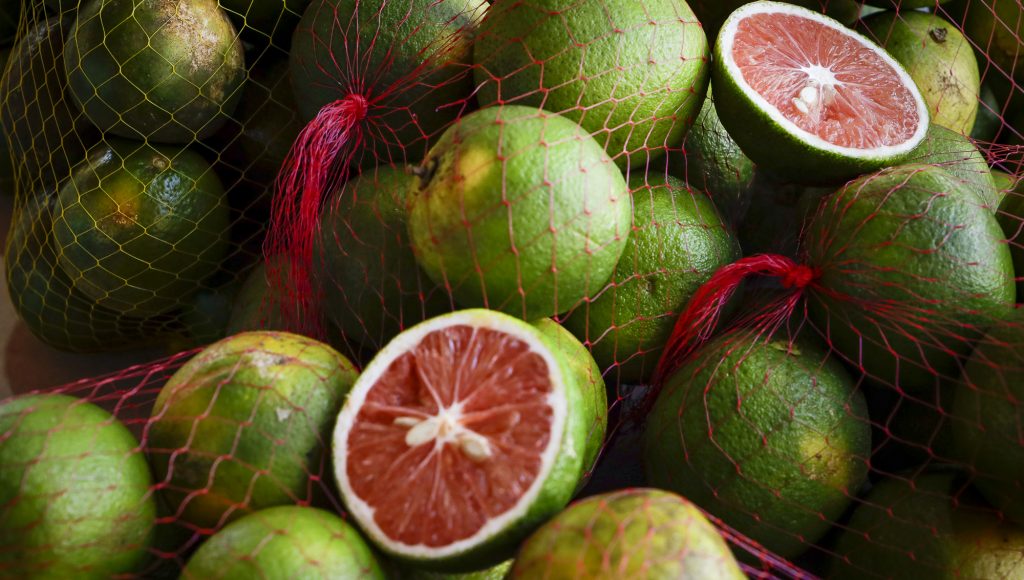 Fotografia registra pacotes de laranja. Sobre os pacotes é uma laranja partida ao meio mostrando a sua coloração interna: laranja.