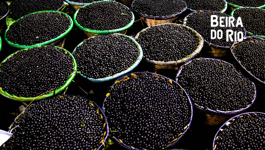 FOTOGRAFIA REGISTRA VÁRIOS PANEIROS COM CAROÇOES DE AÇÃO. SOBRE A FOTO, A LOGO DO JORNAL BEIRA DO RIO.