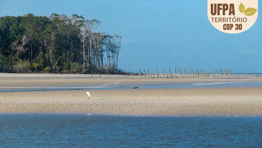 fOTOGRAFIAS REGISTRA PARTE DE UMA PRAIA. È POSSÍVEL IDENTIFICAR BANCOS DE AREAI, UMA GARÇA E UMA ZONA DE ÁRVORES AO FUNDO. Sobre a foto, um selo identifica: UFPA TERRITÓRIO DA COP.
