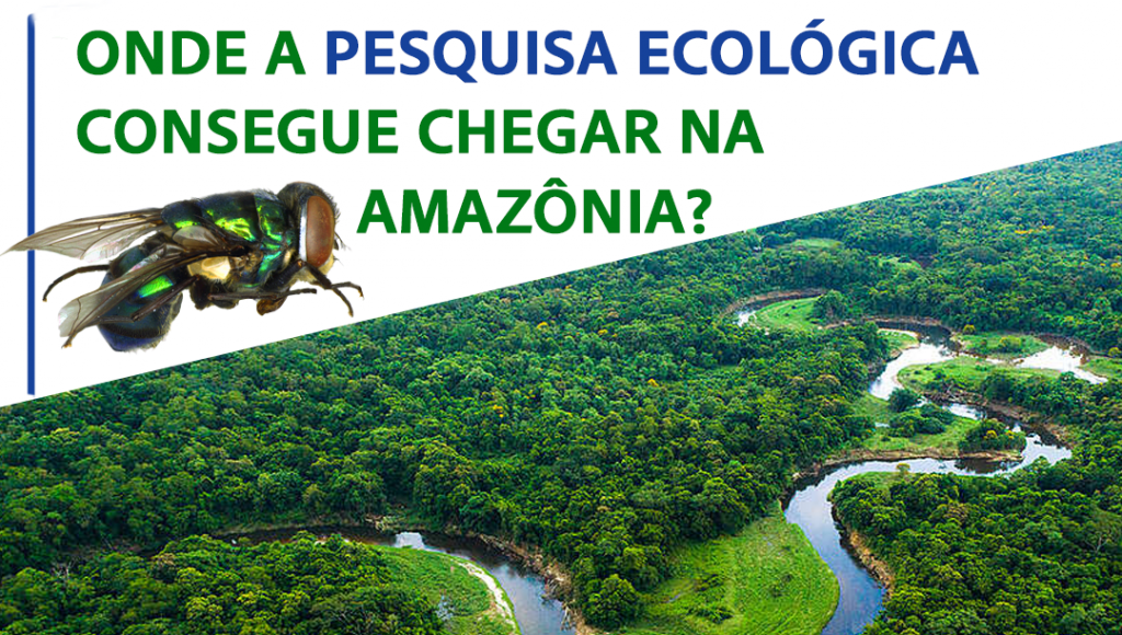 Card gráfico, destaca parte de uma foto aérea de uma região mata e rios. Acima da foto, um fundo branco destaca a pergunta "ONDE A PESQUISA ECOLÓGICA CONSEGUE CHEGAR NA AMAZÔNIA". Ao lado do texto, a imagem de uma mosca.