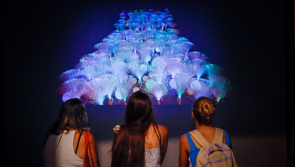 Fotografia registra tr~es meninas de costa observando uma obra de arte em uma parede preta. A obra de arte é composta por luzes em tons de azul e rosa.