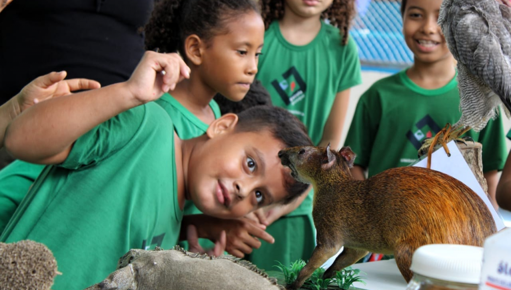 Fotografia registra uma criança se movimento para olhar um animal que está em exposição.